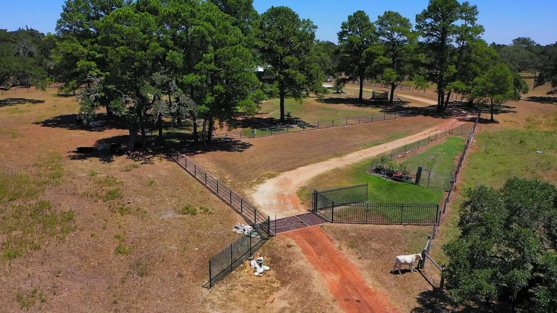 1242 Piney Woods Rd v2 on Vimeo