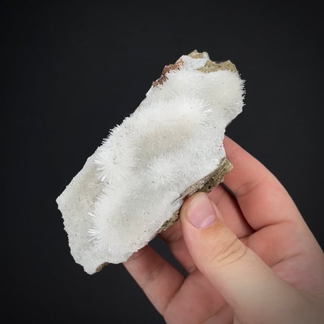 Natrolite with Calcite on Petrified Wood (Uganda!)