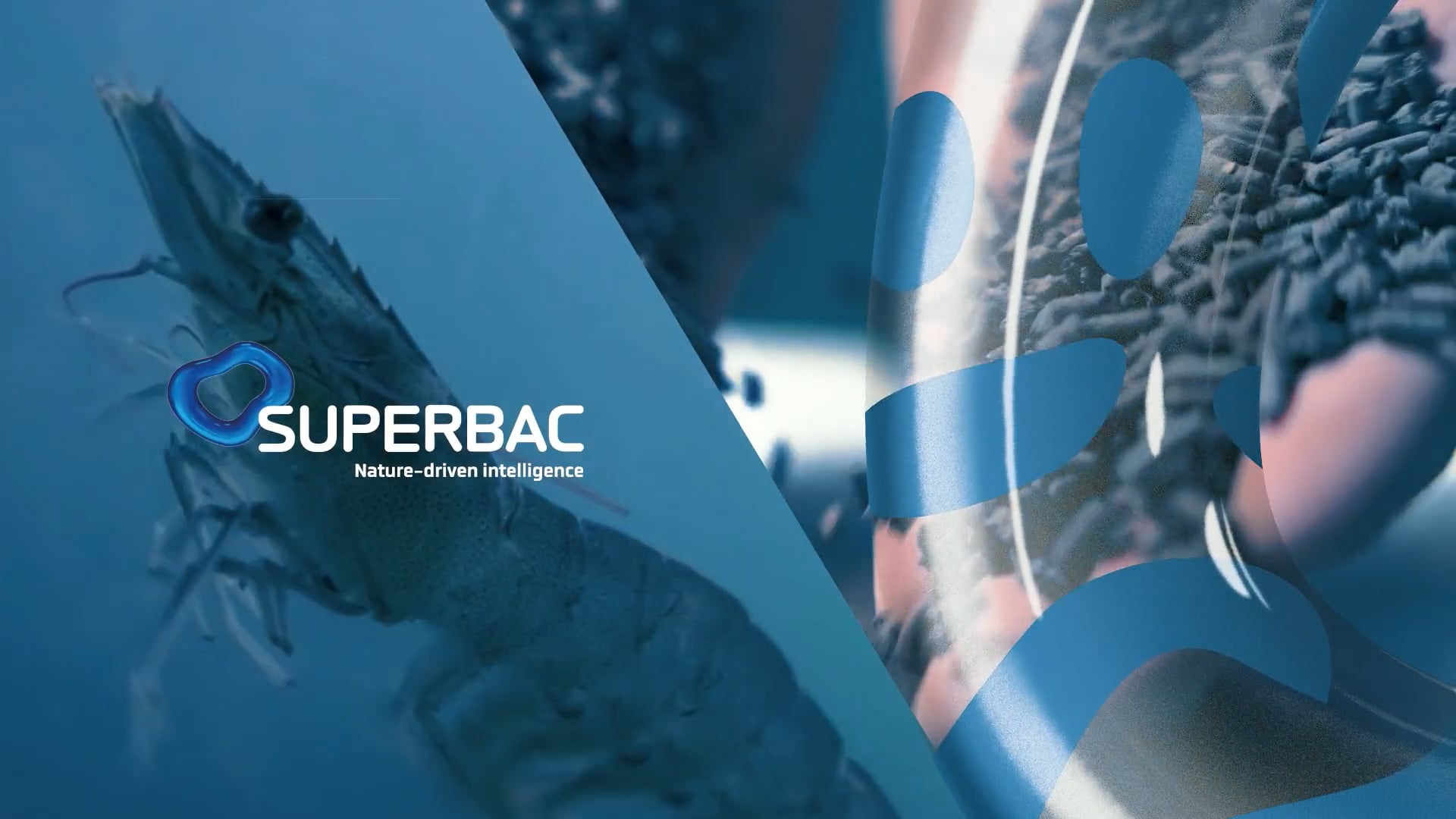 SUPERBAC Bio Boost e Organpesc