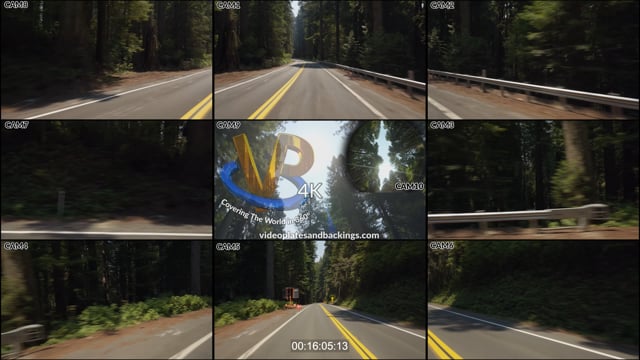 Redwood NP, CA Day 08 16 D2 t04 03