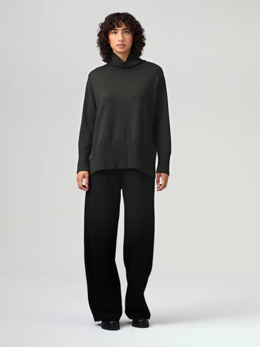 Merino Jersey Turtleneck in Regenerative Wool | EILEEN FISHER