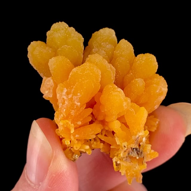 Mimetite with Wulfenite