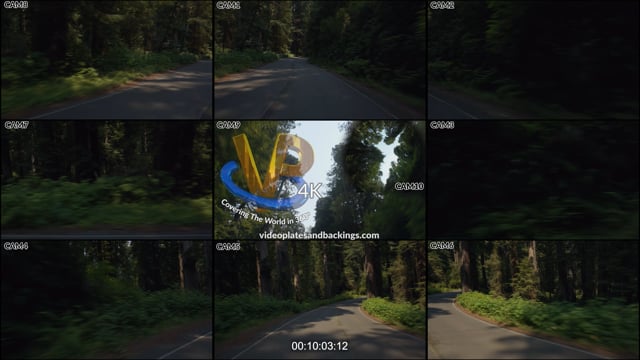Redwood NP, CA Day 08 16 D2 t06 02