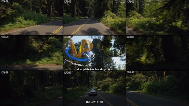 Redwood NP, CA Day 08 16 D2 t07 04