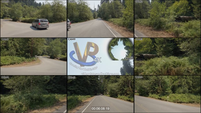 Redwood NP, CA Day 08 16 D2 t07 03