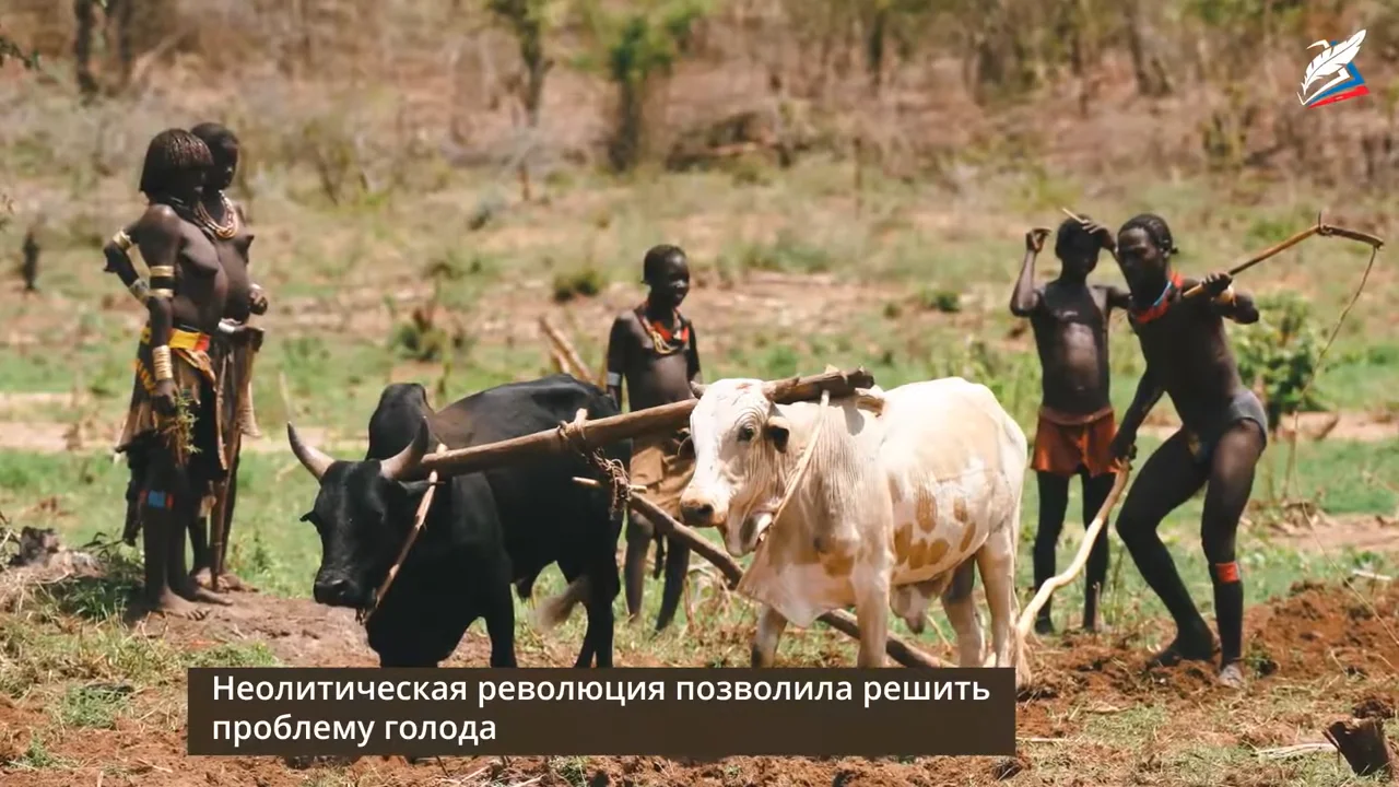 Первобытные земледельцы и скотоводы