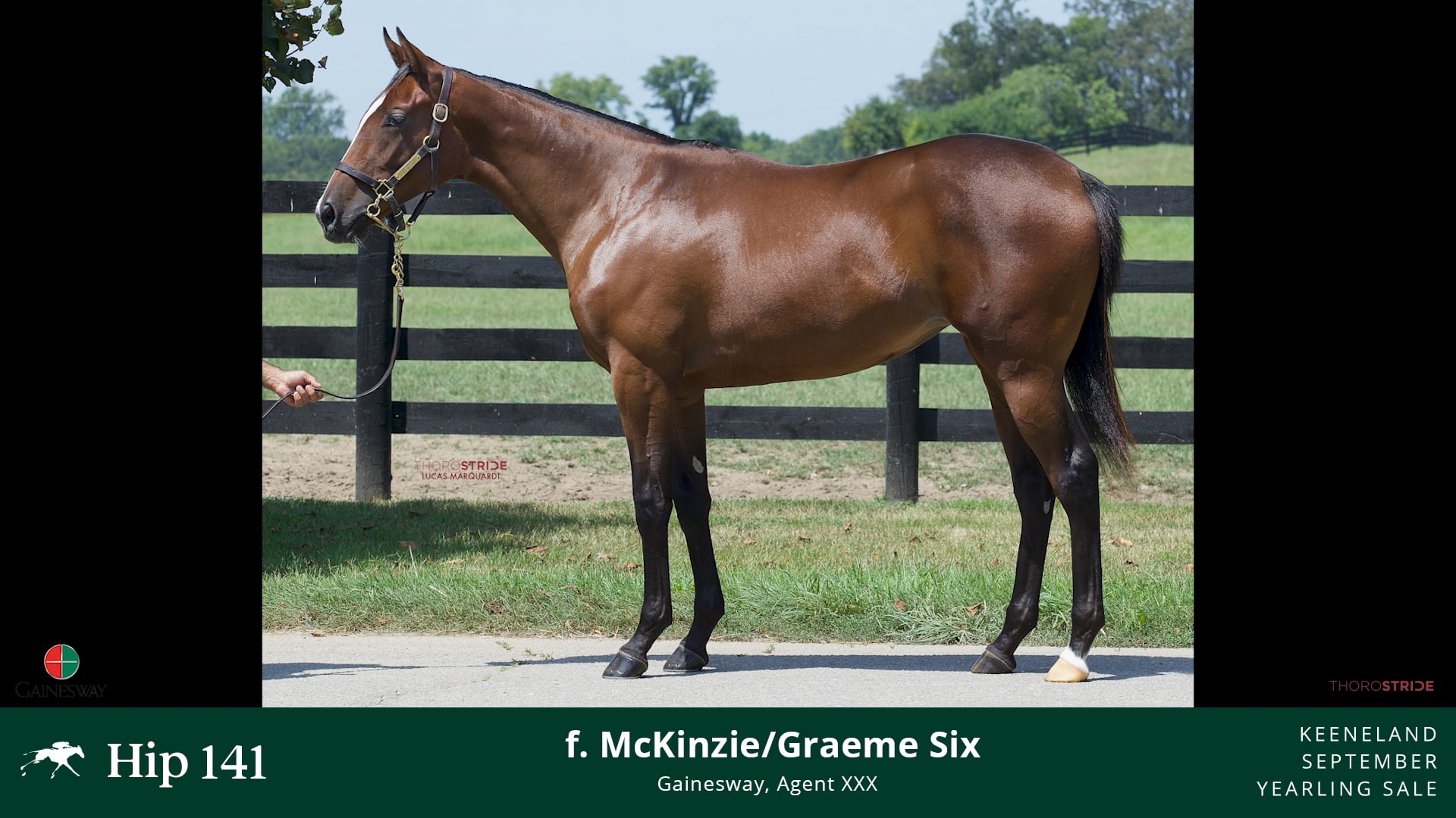 KEESEP23_Hip 141_Graeme Six 22