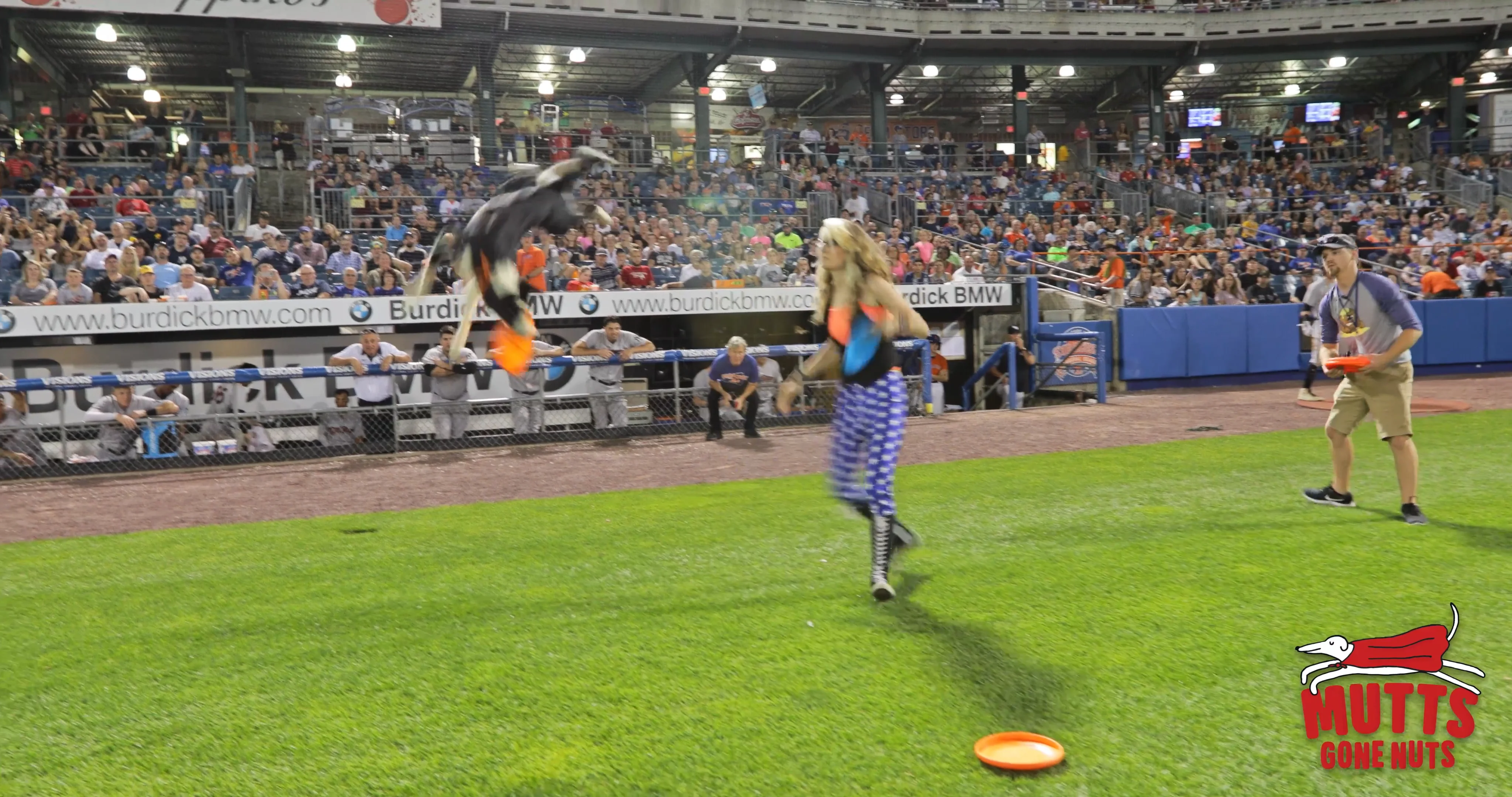 Mutts Gone Nuts Baseball on Vimeo