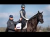 How to Establish a Correct Riding Position