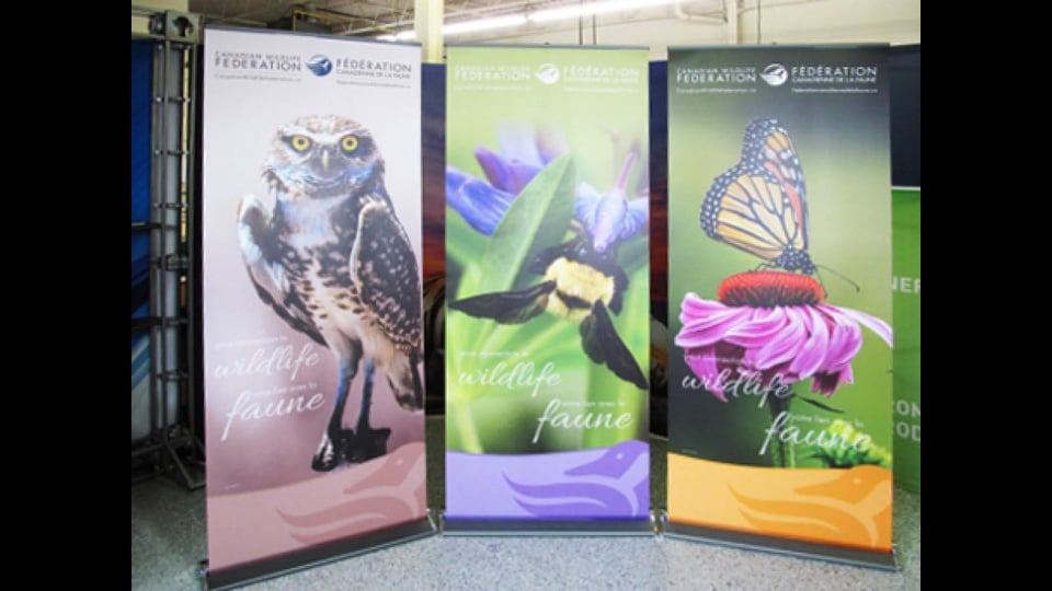 neoprint ltx roll-up stay-flat synthetic film with grey back, npltx, polypropylene & synthetic films