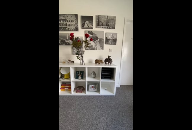 Video 1: