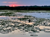 QUIETUDE Song Bath Sanctuary 8.27.23