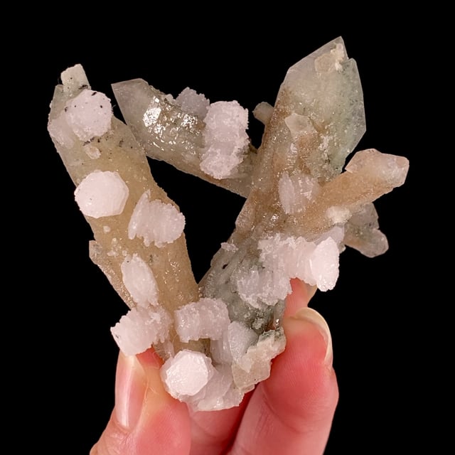 Quartz included with Hedenbergite with Calcite