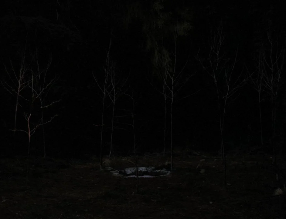 Jimmy Scott Sycamore Trees (From Twin Peaks) on Vimeo