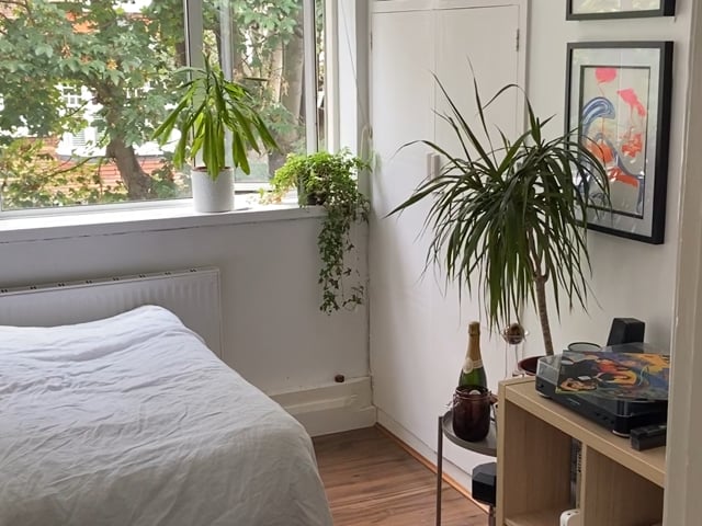Bright Double Room - Friendly Flat - Turnham Green Main Photo