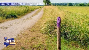 Purple Fences and their Meaning