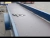 CUSTOM MANUFACTURED UNASSIGNED Conveyor | Alan Ross Machinery (1)