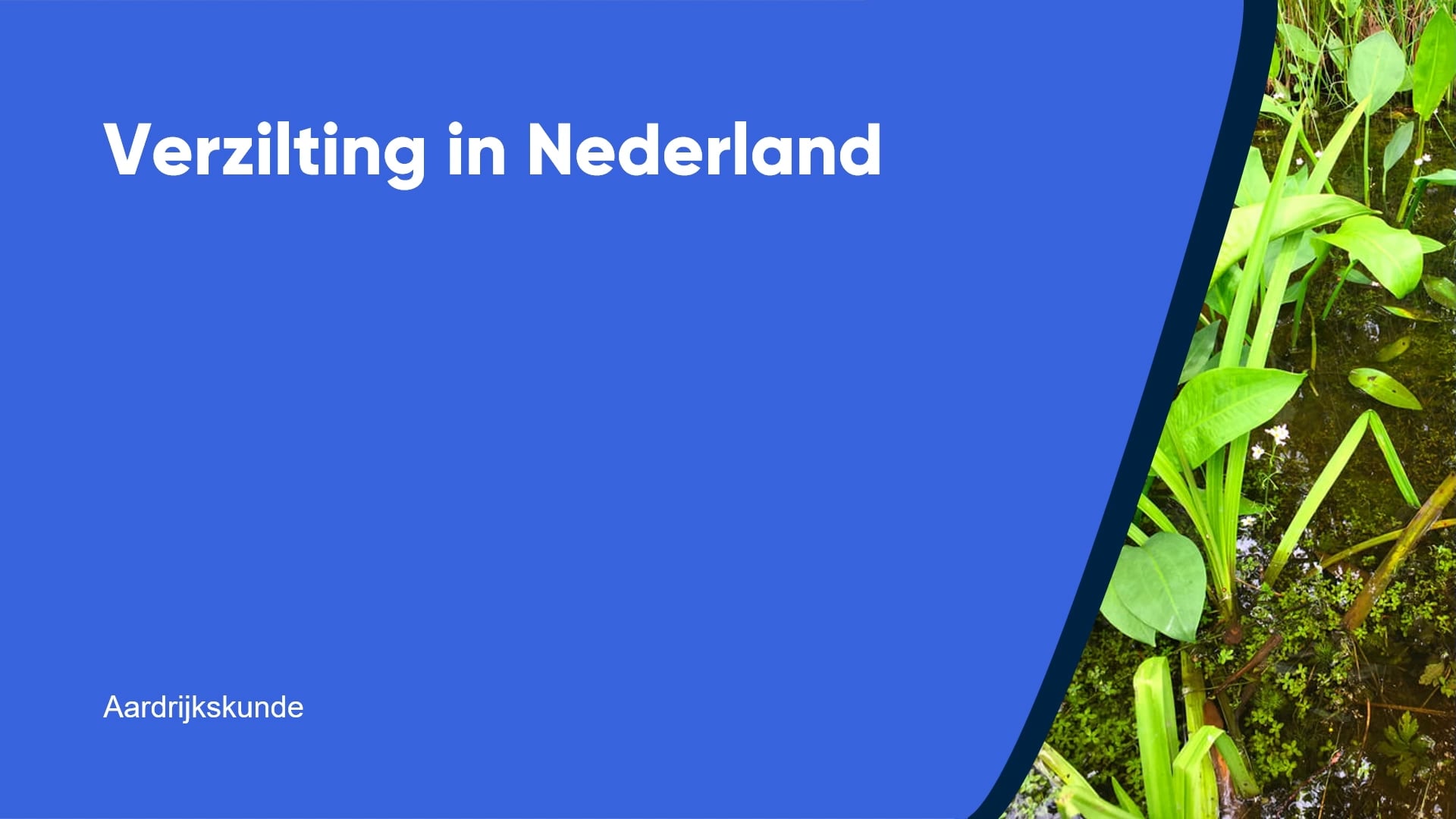 Verzilting in Nederland