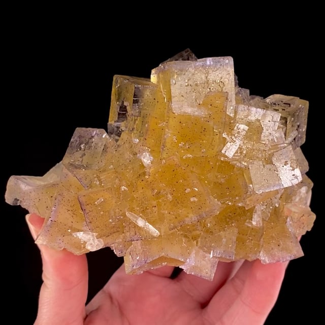 Fluorite (multi-color ''phantom'' crystals) on Sphalerite | Denton Mine ...