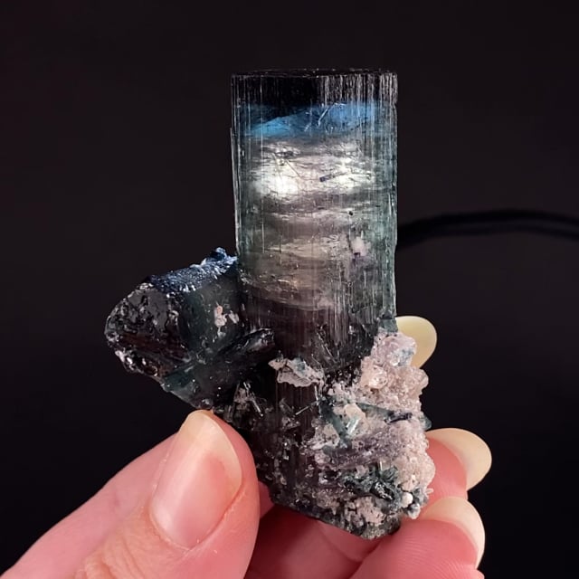 Tourmaline (multi-color crystals - ''floater'' specimen)