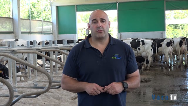 "El único motivo por el que un animal va a ir voluntariamente a ordeñarse es por alimentarse"