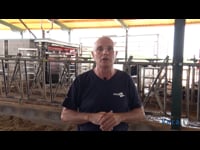 Soluciones para paliar el estrés por calor