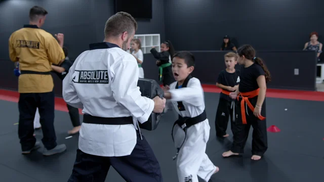 Absolute Martial Arts
