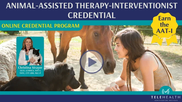 Animal assisted 2024 therapy certification