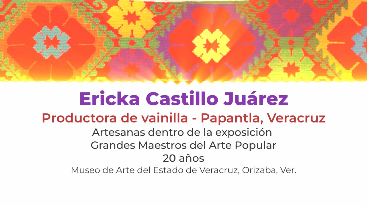 Ericka Castillo Juárez