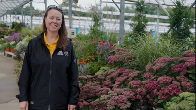 September-Blooming Perennials