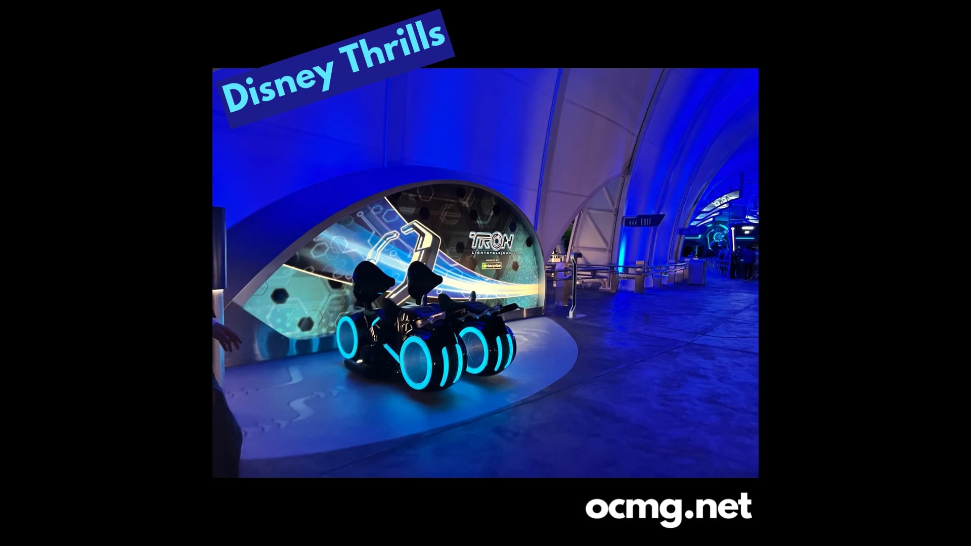 Disney Thrills