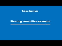 Org Chart example: Steering committee