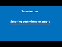 Org Chart example: Steering committee