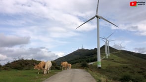 New York NY Brittany TV