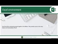 The MS Excel Environment