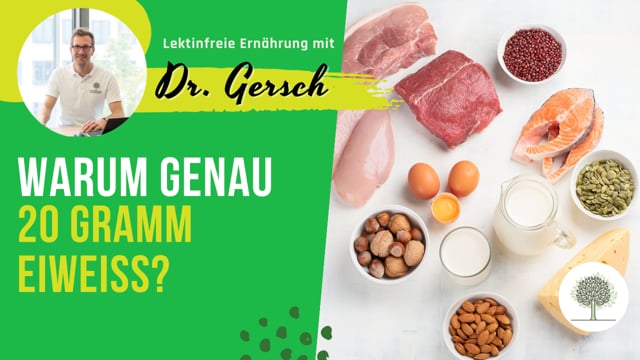 Warum raten wir zu 20 Gramm Eiweiß pro Mahlzeit - und nicht zu mehr oder weniger