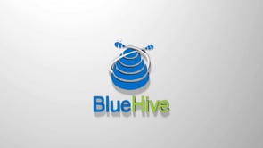 BLUEHIVE • ANAMORPHIC LIVE DEMO