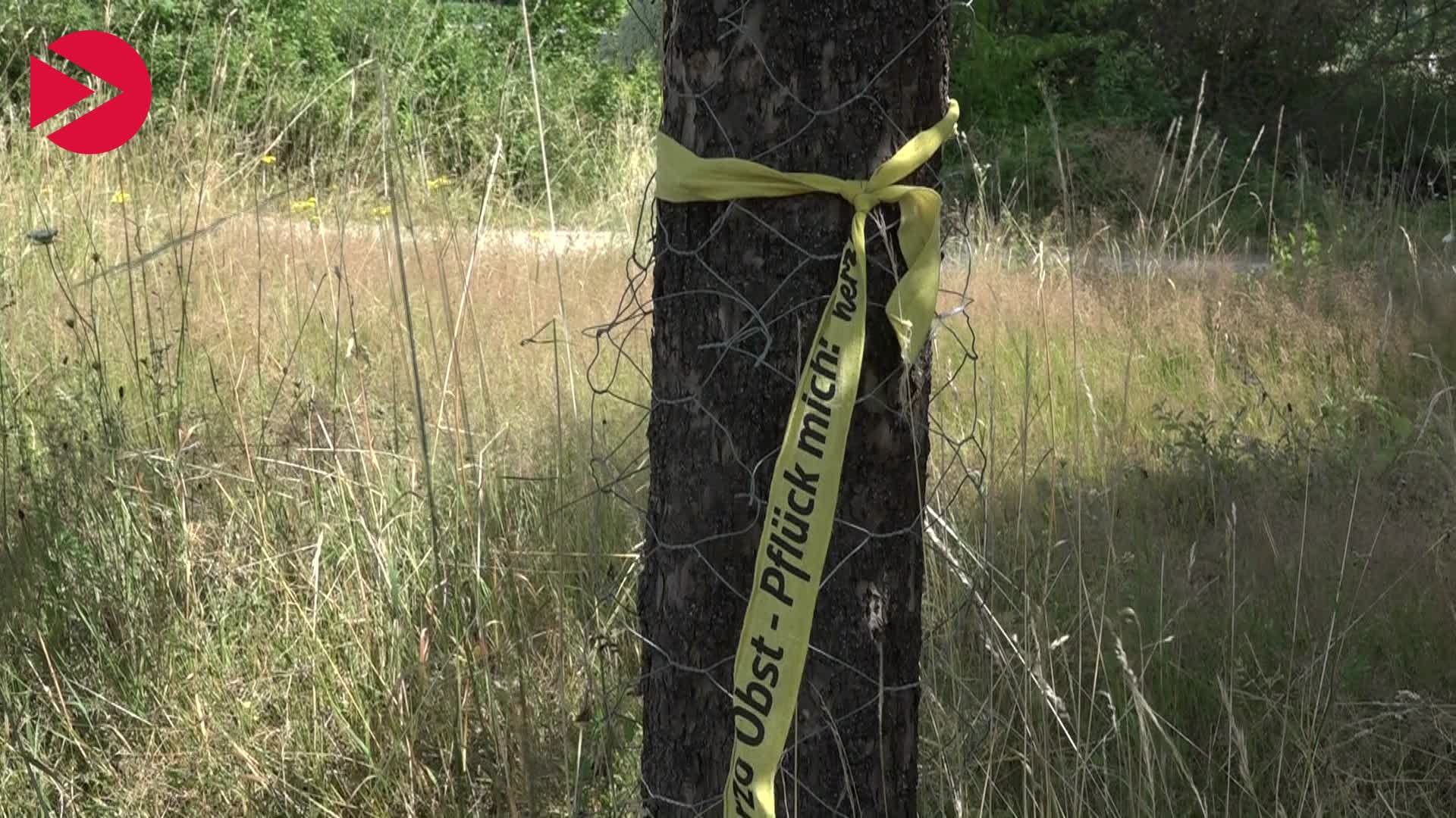 Video Vorschaubild Yellow Ribbon Initiative