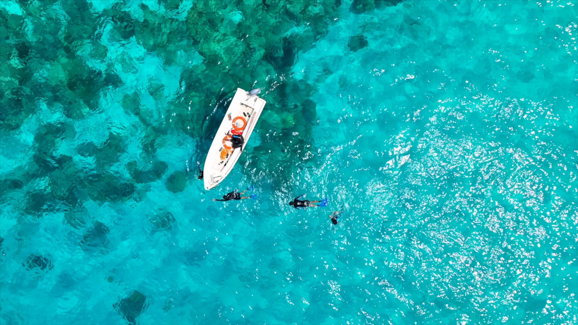 Tubbataha Reefs Natural Park and World Heritage site