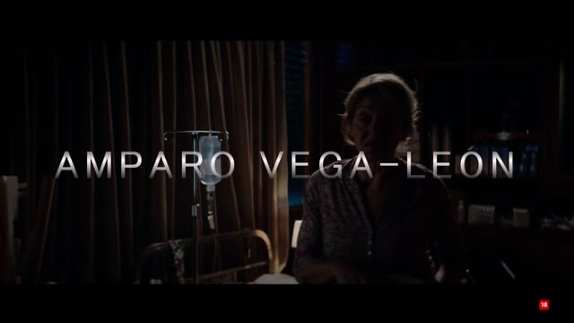 Videobook