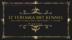 Black Russian Terrier Dog Show - Dorchester Ontario - Friday August 25th 2023