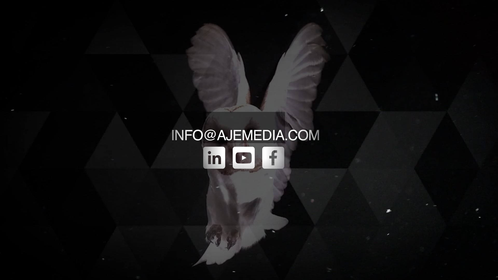 Promotional video thumbnail 1 for AJE Media