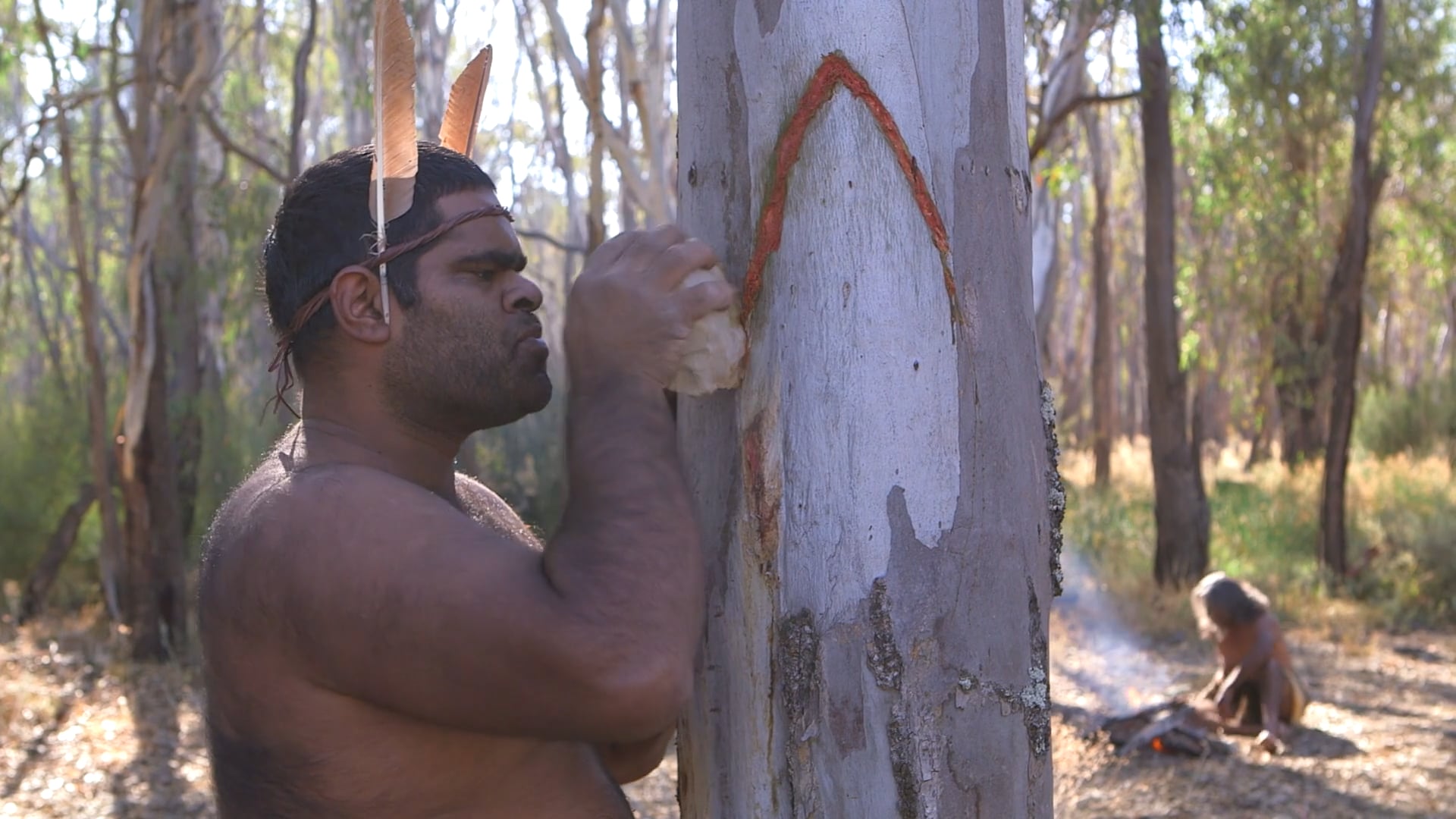 Melbourne Museum | Competing