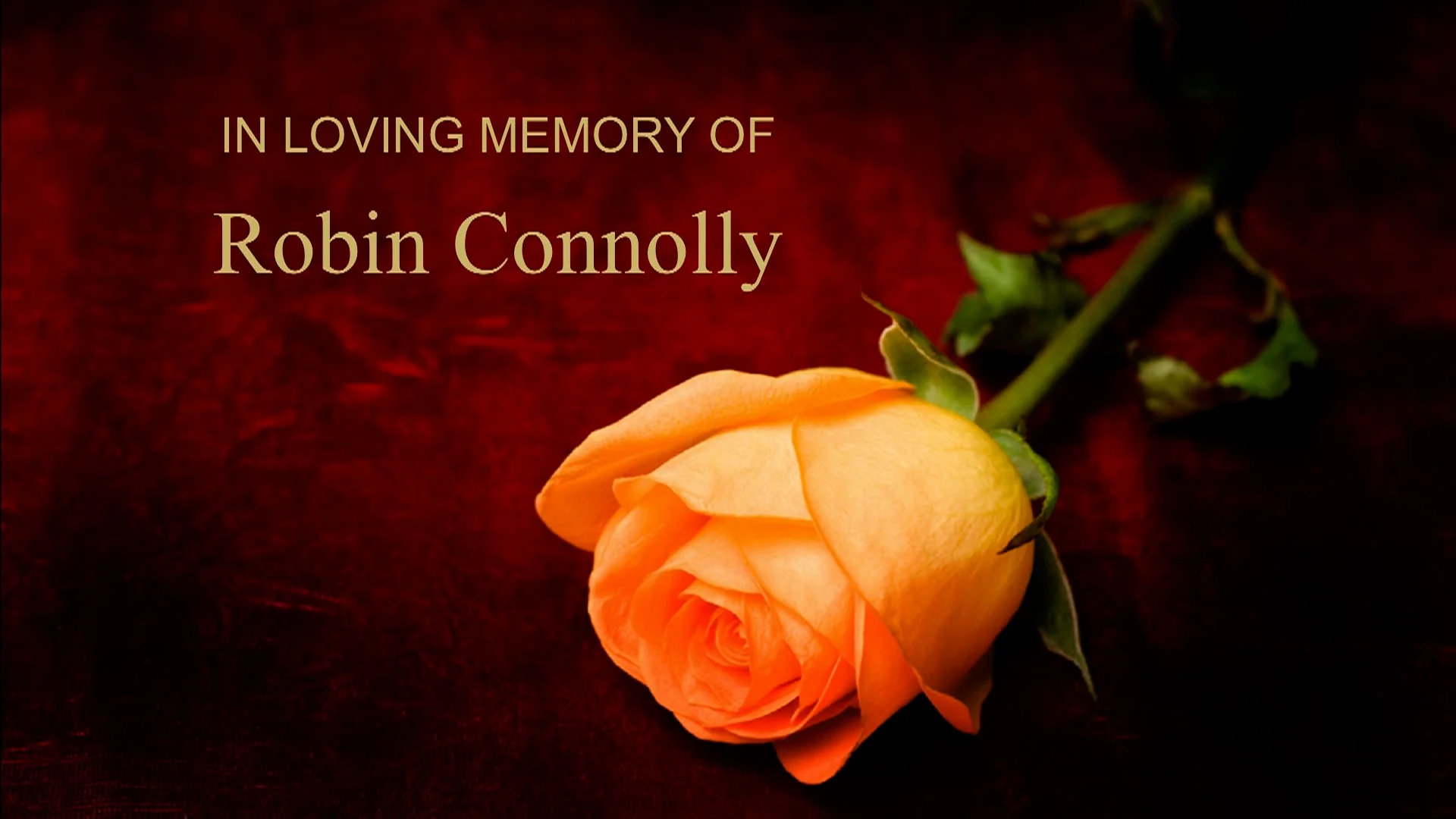Robin Connolly 01.09.2023 on Vimeo