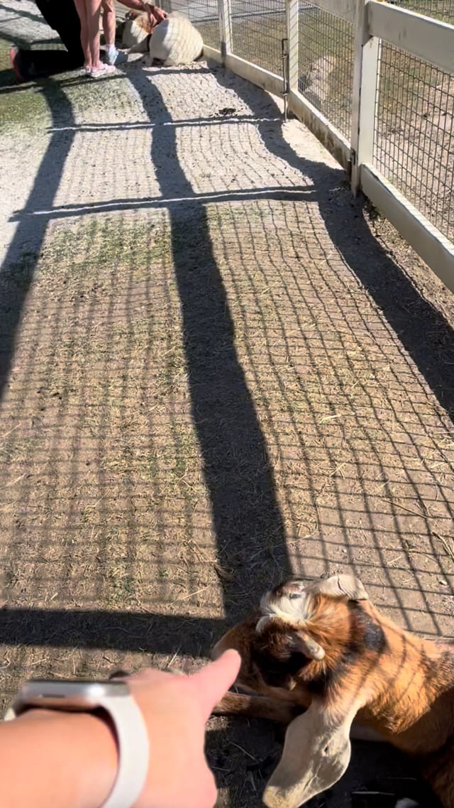 1.09.23 Paradise Country