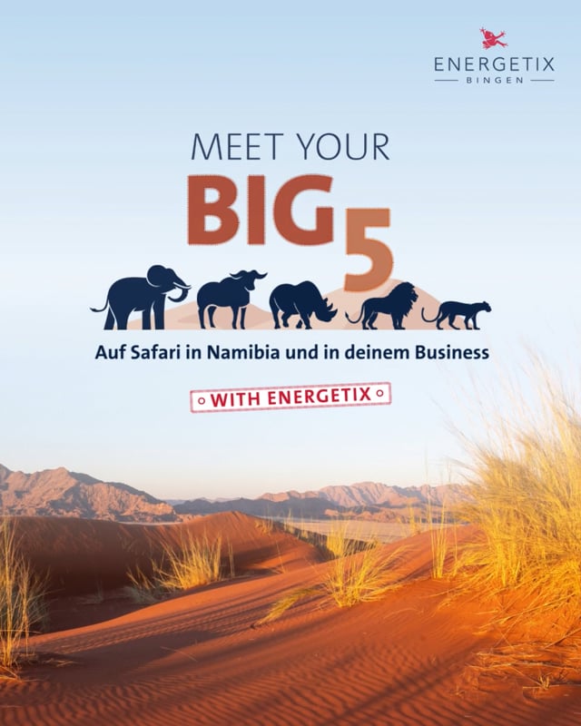 Meet your Big Five - Namibia Reise
