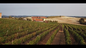 Verkauf und Landwirtschaft.mov