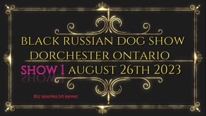 Black Russian Terrier Dog Show - Dorchester Ontario -Sunday August 27th 2023 - Show 1