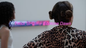 Thumbnail for Kunsthalle Winterthur — Timur Si-Qin, Ecotone Dawn: Deborah Keller (Chefredakteurin Kunstbulletin) im Gespräch mit Andrea Lutz (Kuratorin Kunst Museum Winterthur)