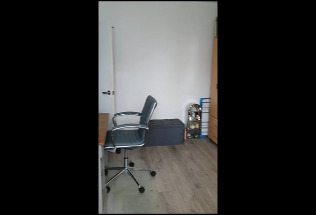 Video 1: View from the front door